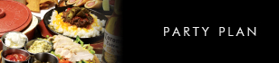 PARTY PLAN